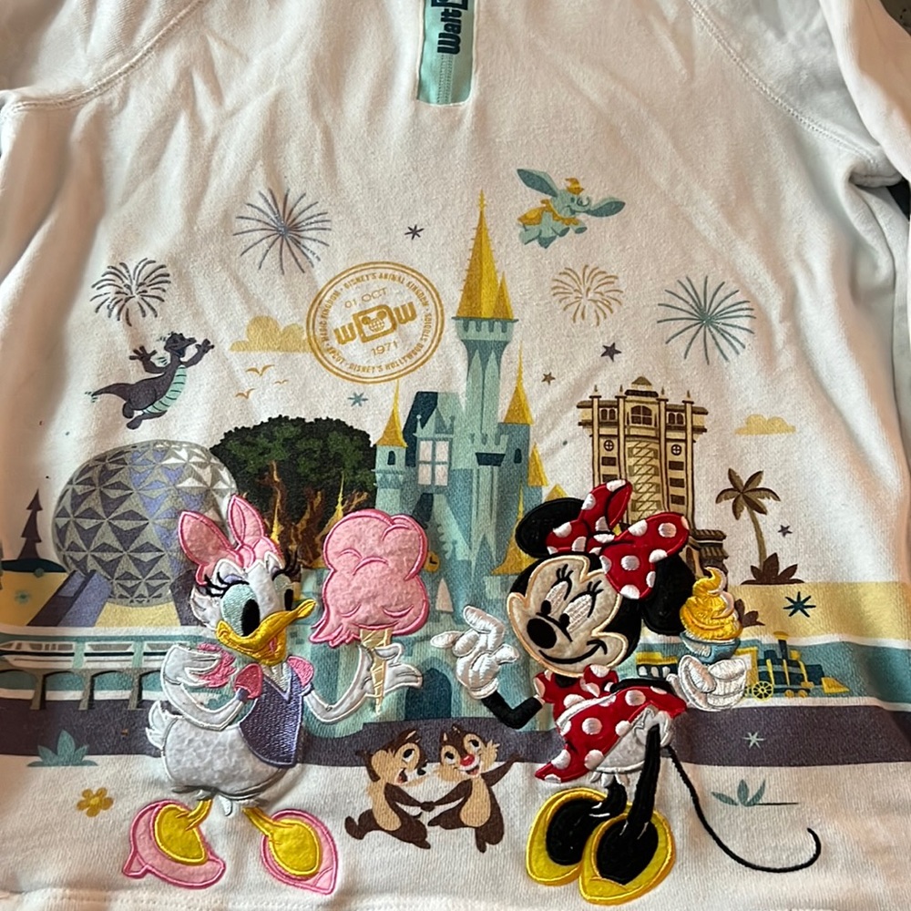 Disney Hoodie From Parks- child